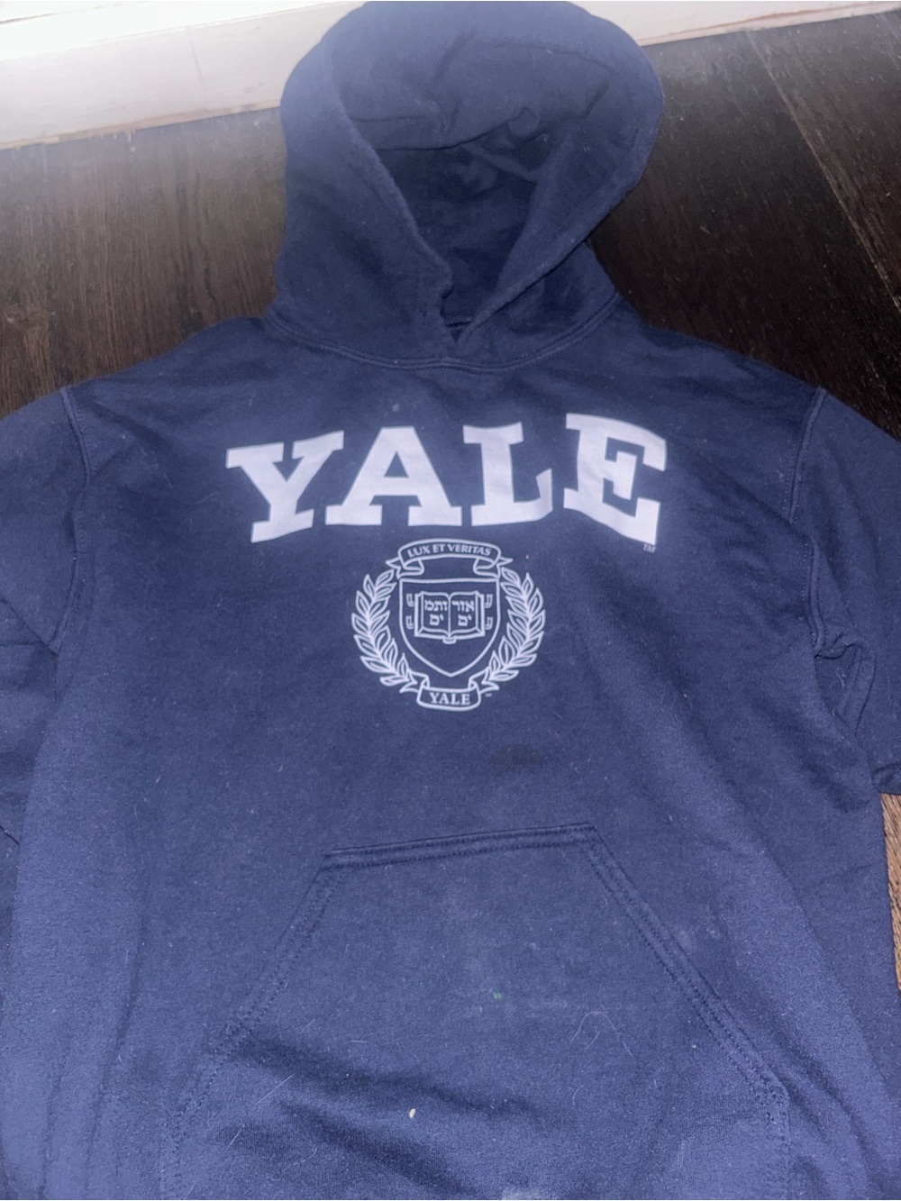 Navy Hooded Sweatshirt - Classic Collegiate Pullover